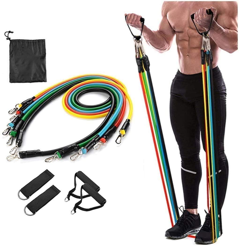 Exercise Bands with Door Ankle and Handles, Waterproof Carry Bag, Legs Ankle (Multicolour)